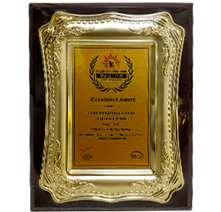 Solar PV Consultant of the Year