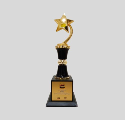 Service Provider of the Year